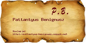 Pattantyus Benignusz névjegykártya